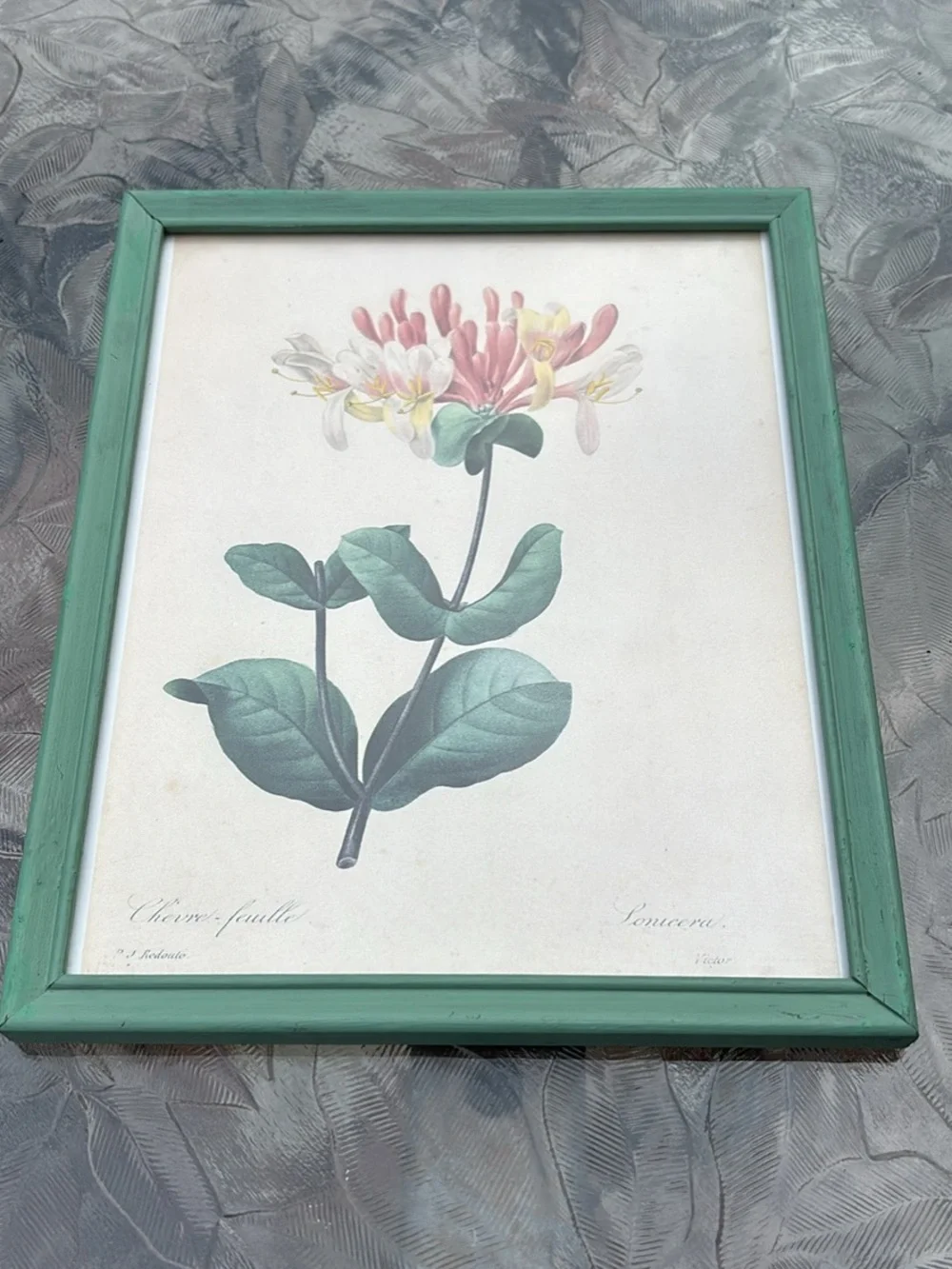 Vintage Japanese Honeysuckle Print